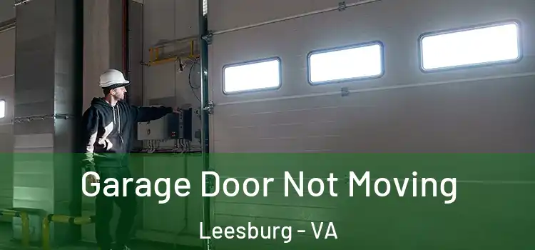  Garage Door Not Moving Leesburg - VA
