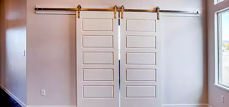 Glass Barn Door with Installation Hardware Kit Leesburg